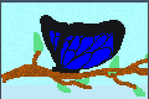 Preview Butterfly Entry World