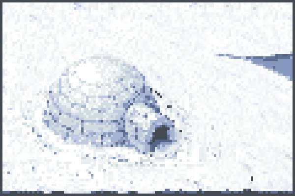 Preview ????????guouglkghhdsuehh3hhhkhy3wm dhwkwknewwwwwwsswsshukndsiwk susknsjkwwwhjee8jbsywwjhhiwjwjs World