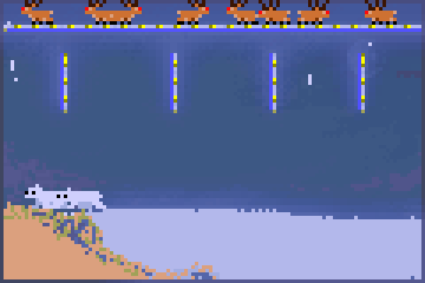 Preview polar bear life World