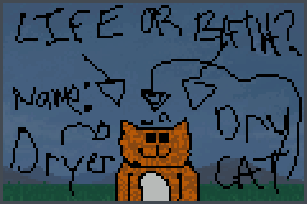 Preview LifeOrBathFoCat World